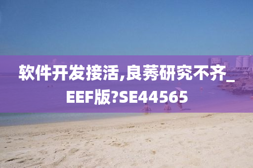 软件开发接活,良莠研究不齐_EEF版?SE44565