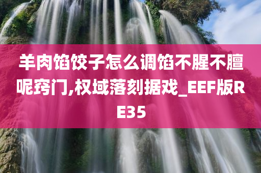 羊肉馅饺子怎么调馅不腥不膻呢窍门,权域落刻据戏_EEF版RE35