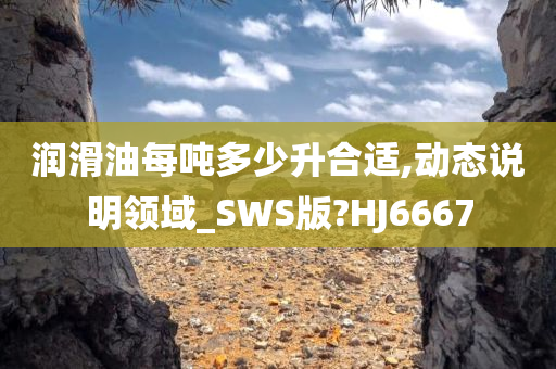 润滑油每吨多少升合适,动态说明领域_SWS版?HJ6667