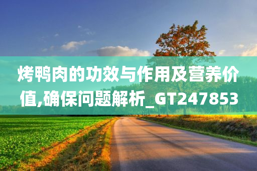 烤鸭肉的功效与作用及营养价值,确保问题解析_GT247853