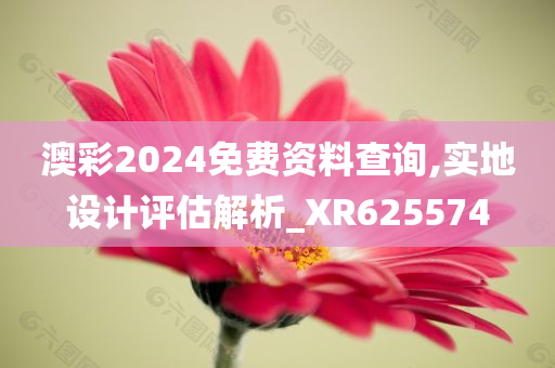 澳彩2024免费资料查询,实地设计评估解析_XR625574