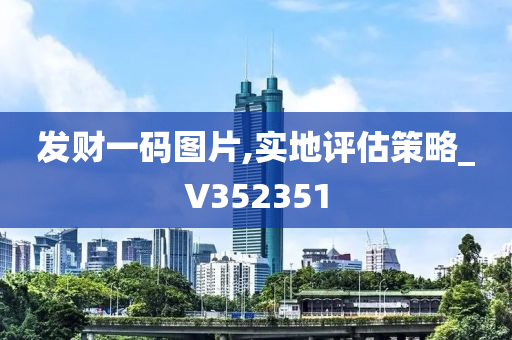 发财一码图片,实地评估策略_V352351