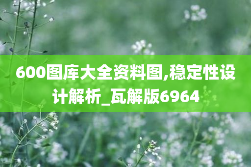 600图库大全资料图,稳定性设计解析_瓦解版6964