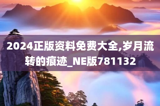 2024正版资料免费大全,岁月流转的痕迹_NE版781132