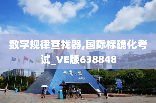 数字规律查找器,国际标确化考试_VE版638848