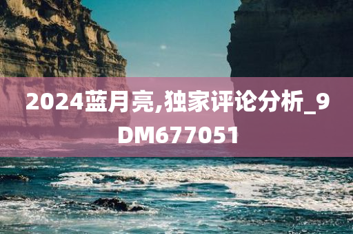 2024蓝月亮,独家评论分析_9DM677051