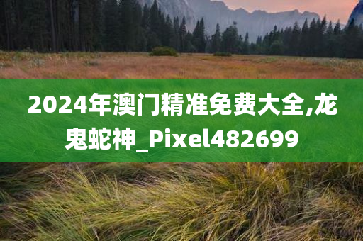 2024年澳门精准免费大全,龙鬼蛇神_Pixel482699