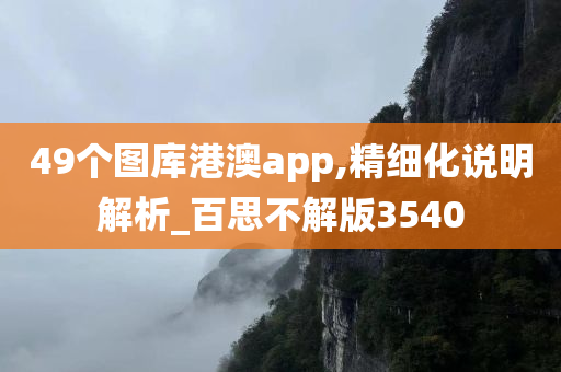 49个图库港澳app,精细化说明解析_百思不解版3540