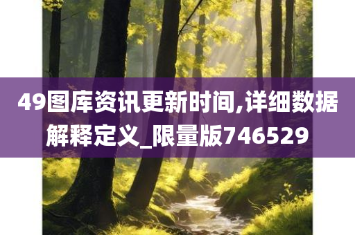 49图库资讯更新时间,详细数据解释定义_限量版746529