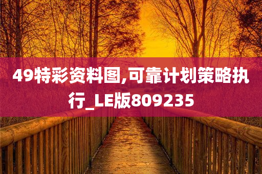 49特彩资料图,可靠计划策略执行_LE版809235