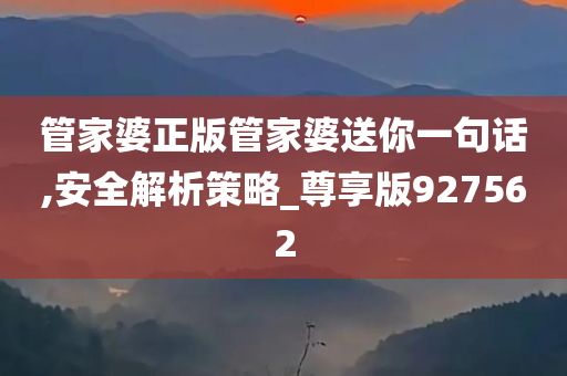 管家婆正版管家婆送你一句话,安全解析策略_尊享版927562