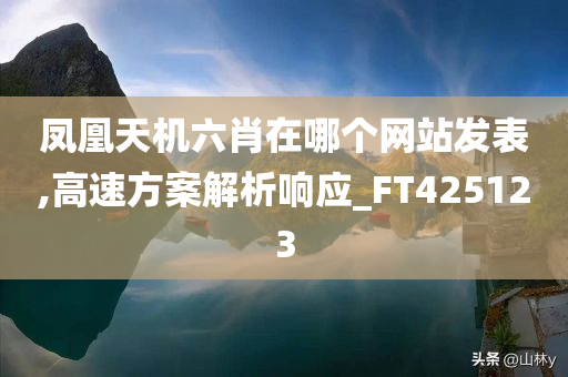 凤凰天机六肖在哪个网站发表,高速方案解析响应_FT425123