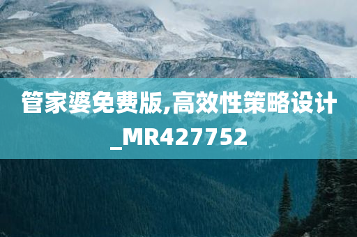 管家婆免费版,高效性策略设计_MR427752