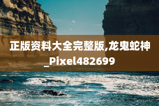 正版资料大全完整版,龙鬼蛇神_Pixel482699