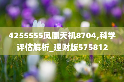 4255555凤凰天机8704,科学评估解析_理财版575812