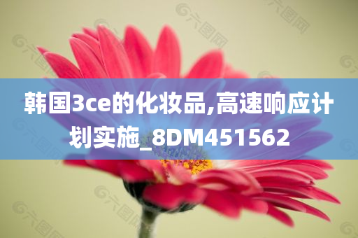 韩国3ce的化妆品,高速响应计划实施_8DM451562