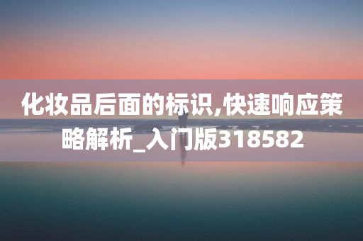 化妆品后面的标识,快速响应策略解析_入门版318582