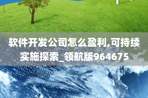 软件开发公司怎么盈利,可持续实施探索_领航版964675