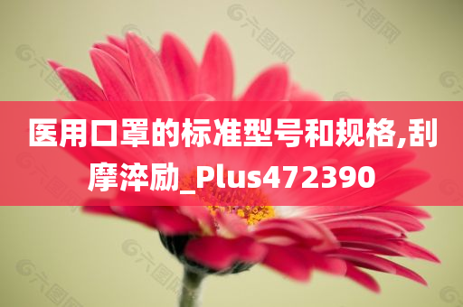 医用口罩的标准型号和规格,刮摩淬励_Plus472390