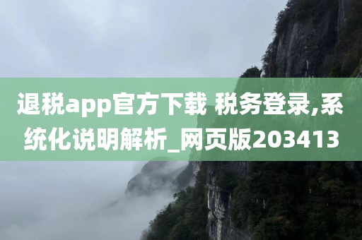 退税app官方下载 税务登录,系统化说明解析_网页版203413