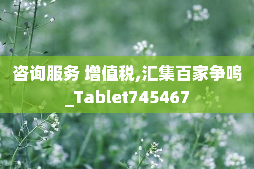 咨询服务 增值税,汇集百家争鸣_Tablet745467