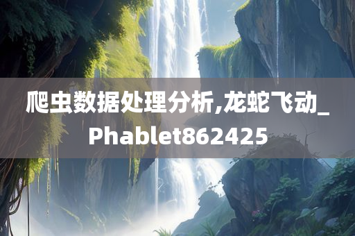 爬虫数据处理分析,龙蛇飞动_Phablet862425