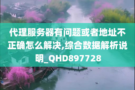 代理服务器有问题或者地址不正确怎么解决,综合数据解析说明_QHD897728