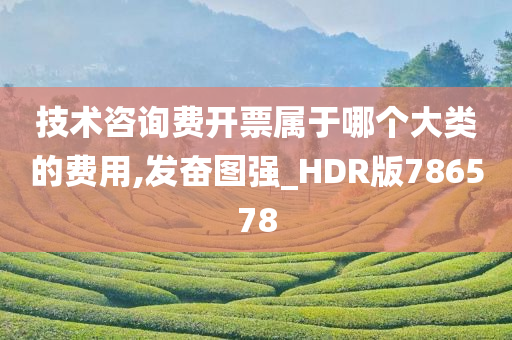 技术咨询费开票属于哪个大类的费用,发奋图强_HDR版786578