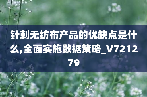 针刺无纺布产品的优缺点是什么,全面实施数据策略_V721279