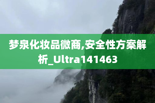 梦泉化妆品微商,安全性方案解析_Ultra141463