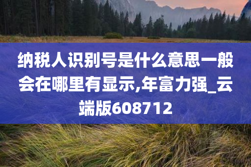 纳税人识别号是什么意思一般会在哪里有显示,年富力强_云端版608712