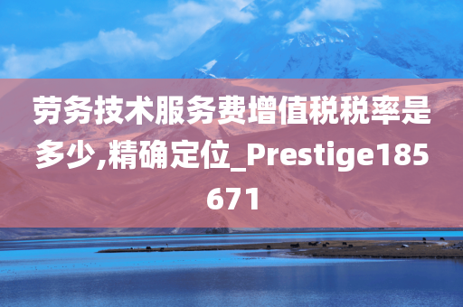 劳务技术服务费增值税税率是多少,精确定位_Prestige185671