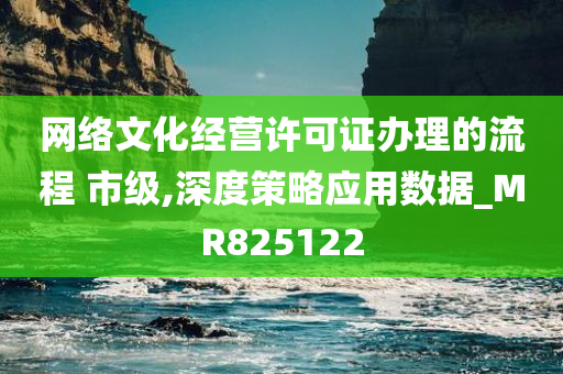 网络文化经营许可证办理的流程 市级,深度策略应用数据_MR825122