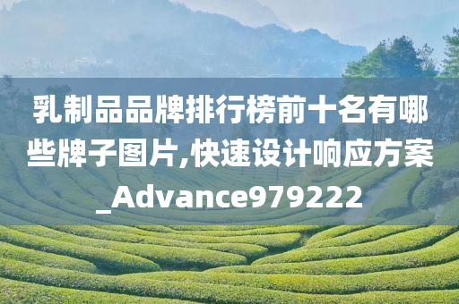 乳制品品牌排行榜前十名有哪些牌子图片,快速设计响应方案_Advance979222