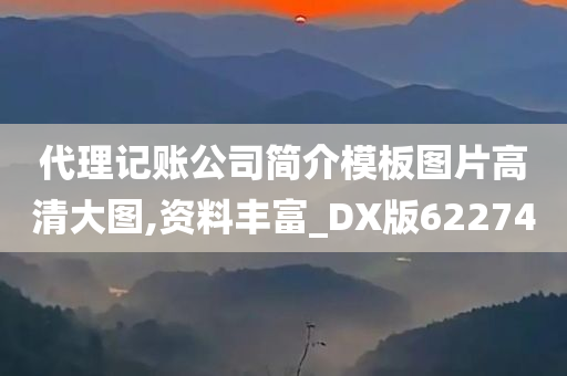 代理记账公司简介模板图片高清大图,资料丰富_DX版622740