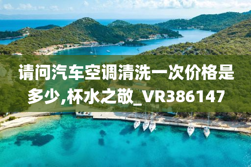 请问汽车空调清洗一次价格是多少,杯水之敬_VR386147