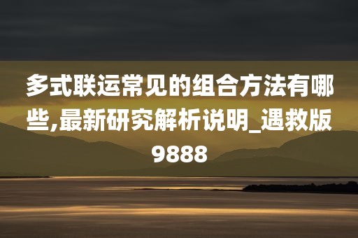 多式联运常见的组合方法有哪些,最新研究解析说明_遇救版9888