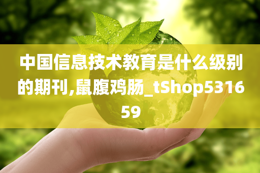 中国信息技术教育是什么级别的期刊,鼠腹鸡肠_tShop531659