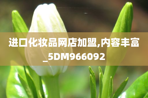 进口化妆品网店加盟,内容丰富_5DM966092