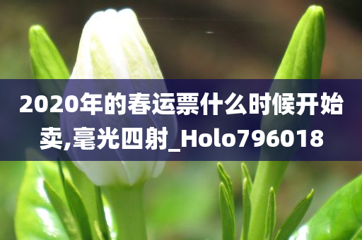 2020年的春运票什么时候开始卖,毫光四射_Holo796018