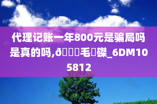 代理记账一年800元是骗局吗是真的吗,🐎毛蝟磔_6DM105812