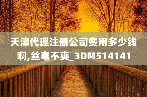 天津代理注册公司费用多少钱啊,丝毫不爽_3DM514141