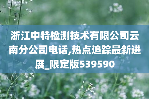 浙江中特检测技术有限公司云南分公司电话,热点追踪最新进展_限定版539590