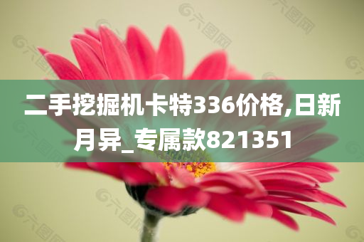 二手挖掘机卡特336价格,日新月异_专属款821351