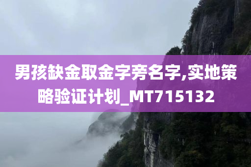 男孩缺金取金字旁名字,实地策略验证计划_MT715132