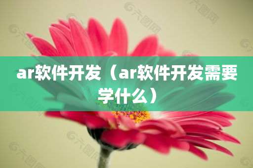 ar软件开发（ar软件开发需要学什么）