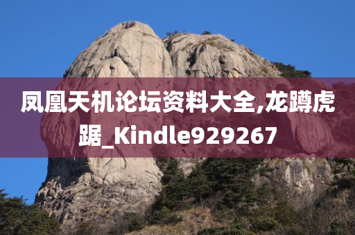 凤凰天机论坛资料大全,龙蹲虎踞_Kindle929267