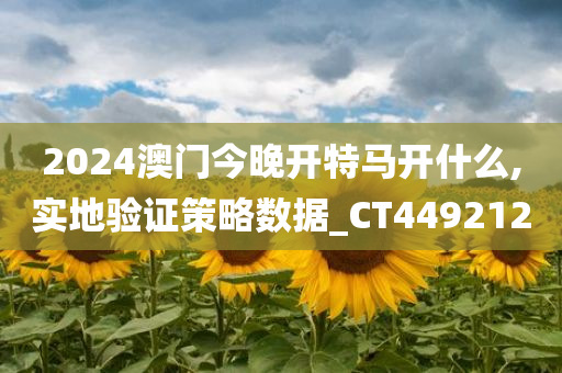 2024澳门今晚开特马开什么,实地验证策略数据_CT449212