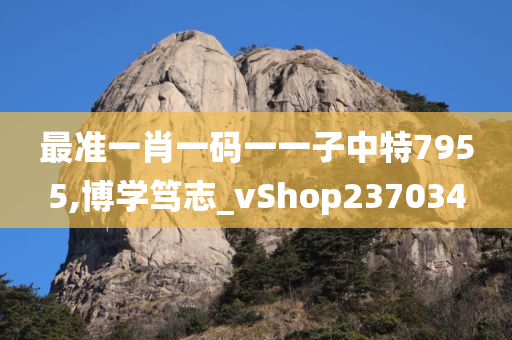 最准一肖一码一一子中特7955,博学笃志_vShop237034