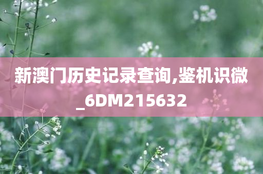 新澳门历史记录查询,鉴机识微_6DM215632